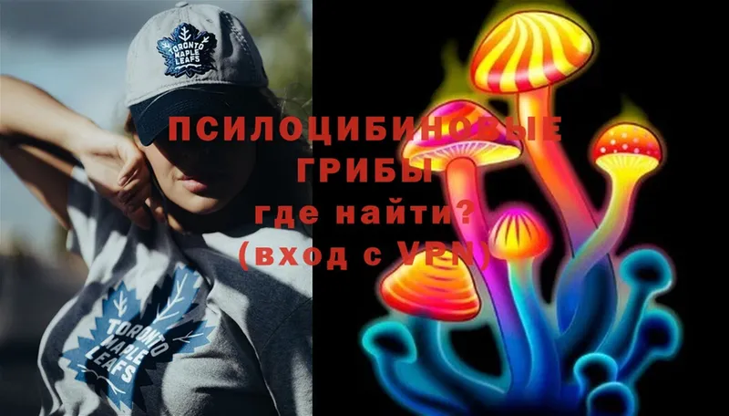 Галлюциногенные грибы Cubensis  MEGA ССЫЛКА  Ишим 